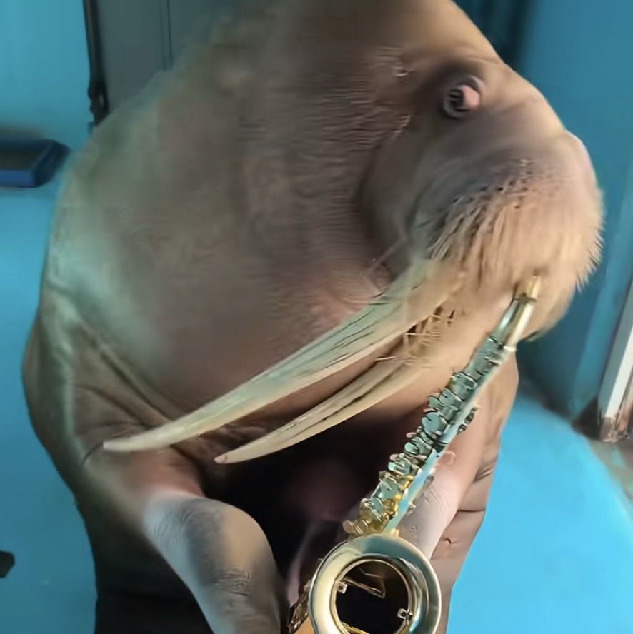 Walrus Sax