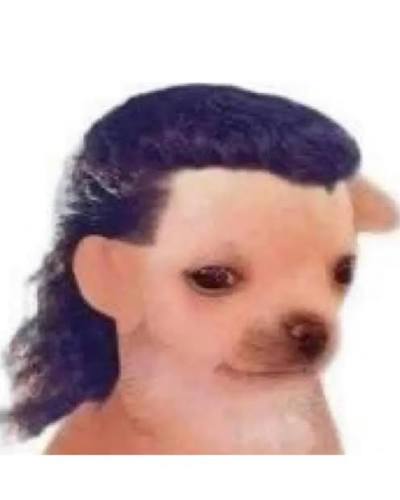 El Perrito Temerario