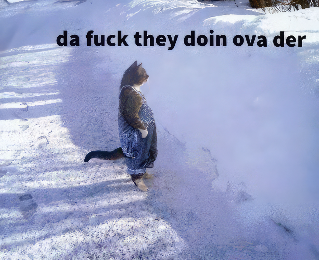 dafuq cat
