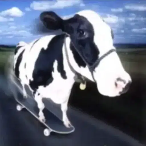 Cow On Board