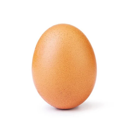 World Record Egg