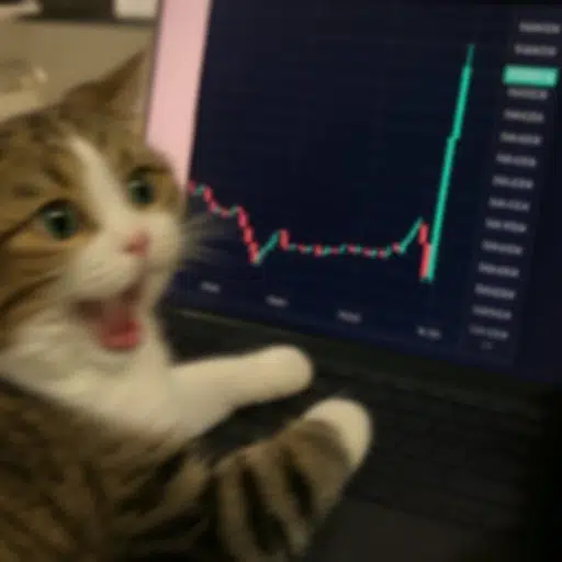 refund cat