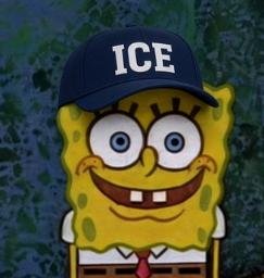 ICEBOB