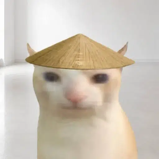 chinese hat cat