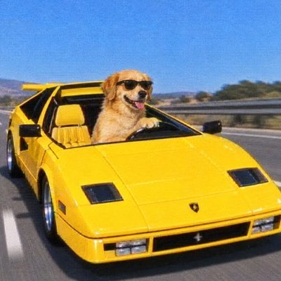 wen lambo?