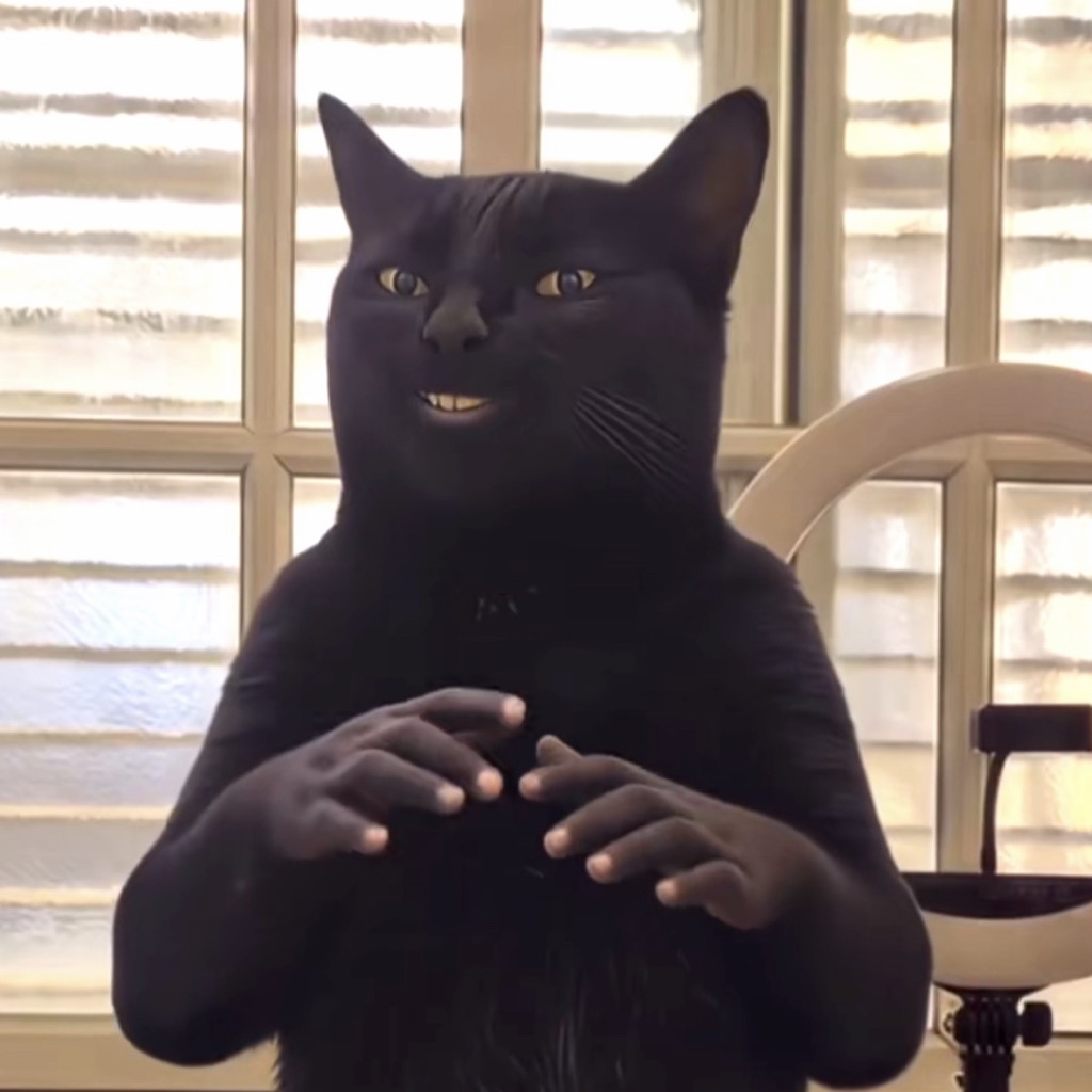 Black Cat