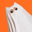 Ghost Cat