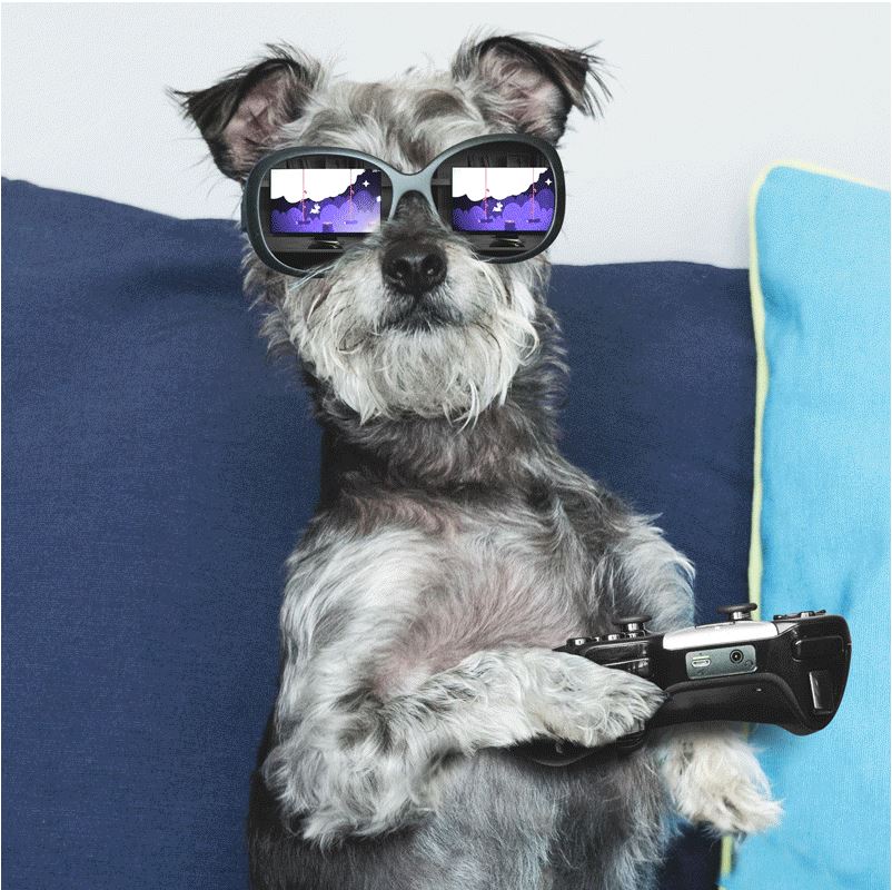 Nvidia Dog