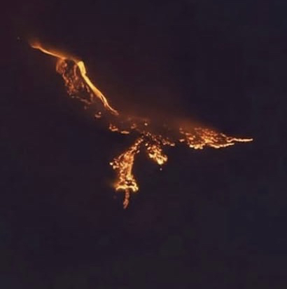 Italian Phoenix