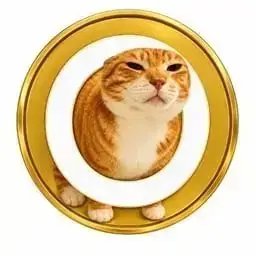 oyecoin