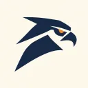 Falcon Execution Network