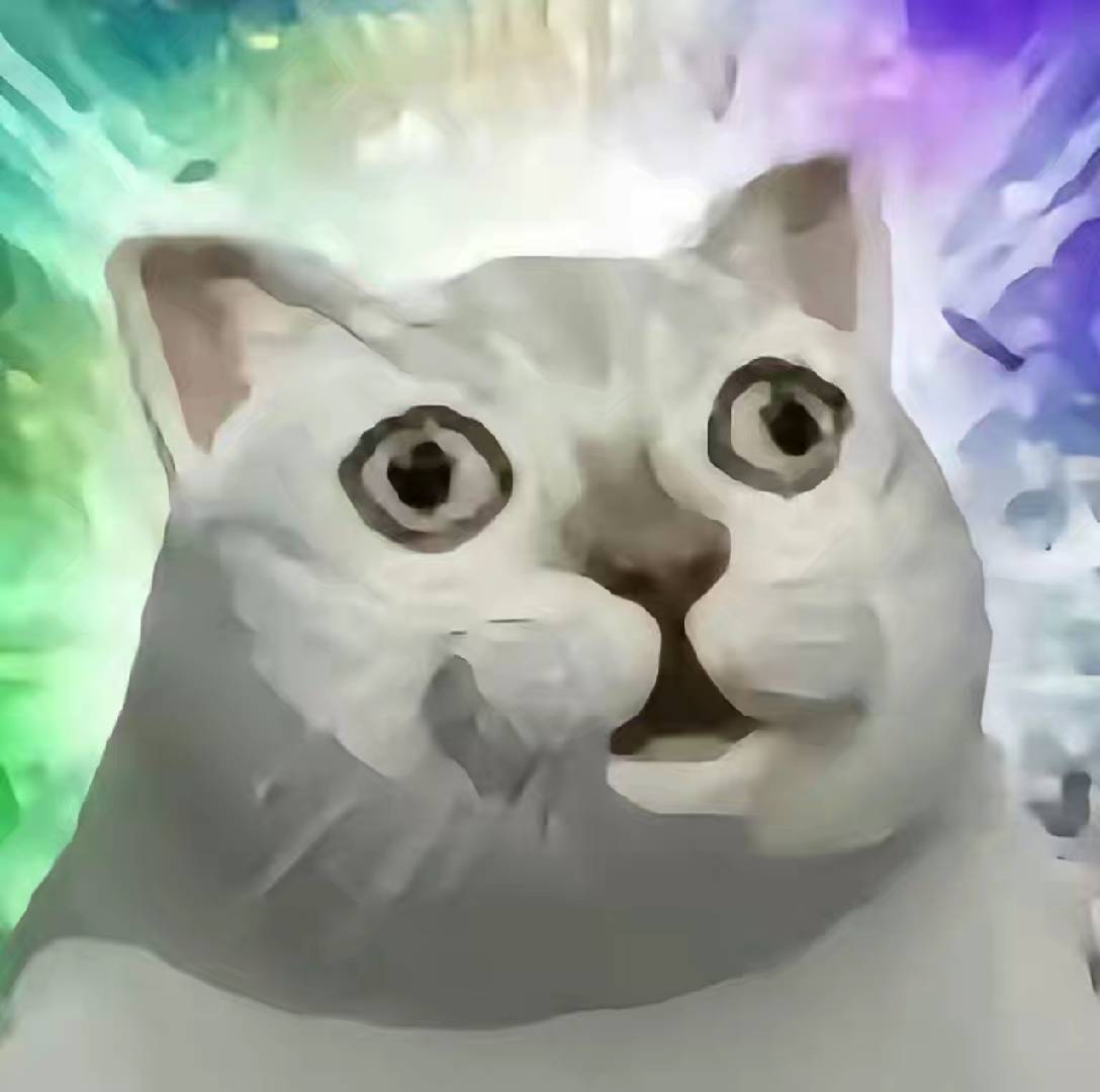 Internet Cat