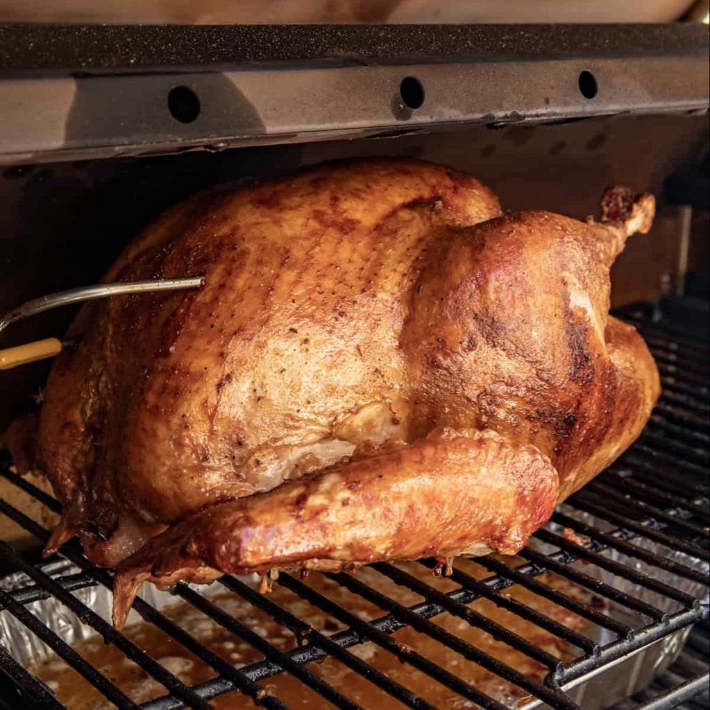 turkey turkey