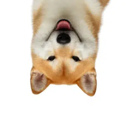 FLIPINU
