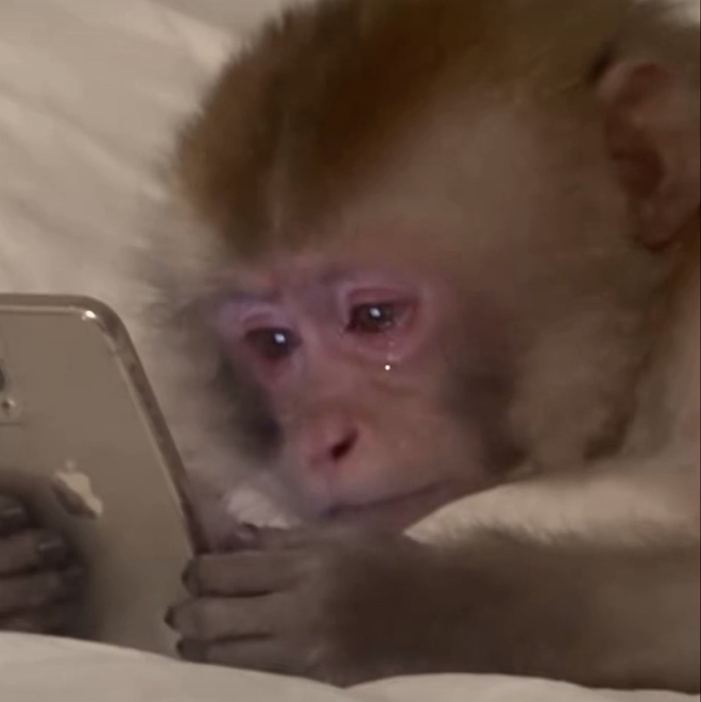 Crying Ape