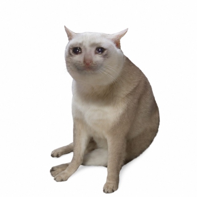 the market cat