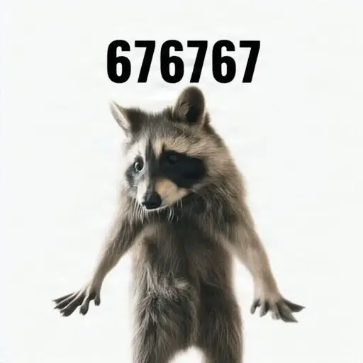 67raccoon