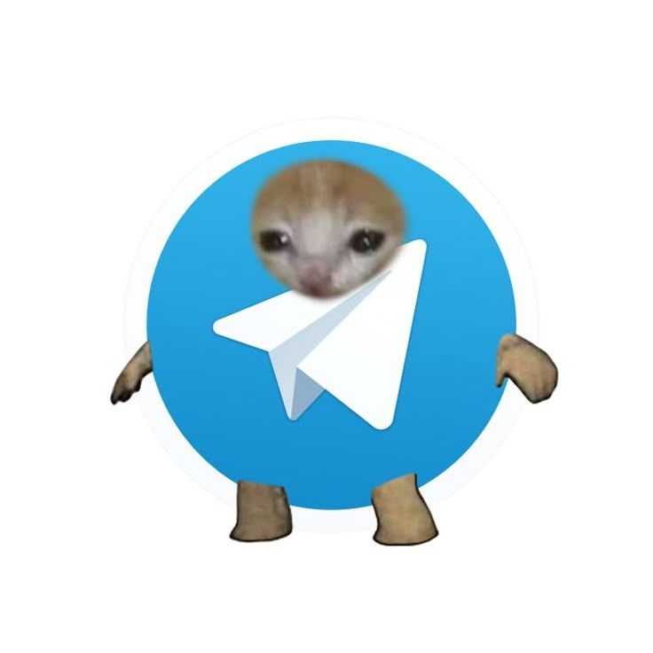 telecat