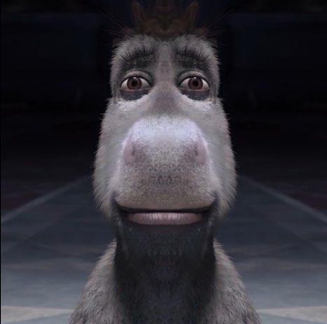 Donkey