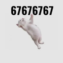 67cat
