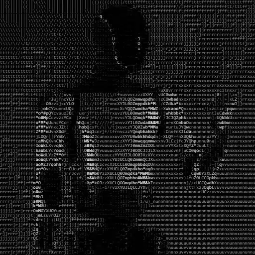 Digital Optimus