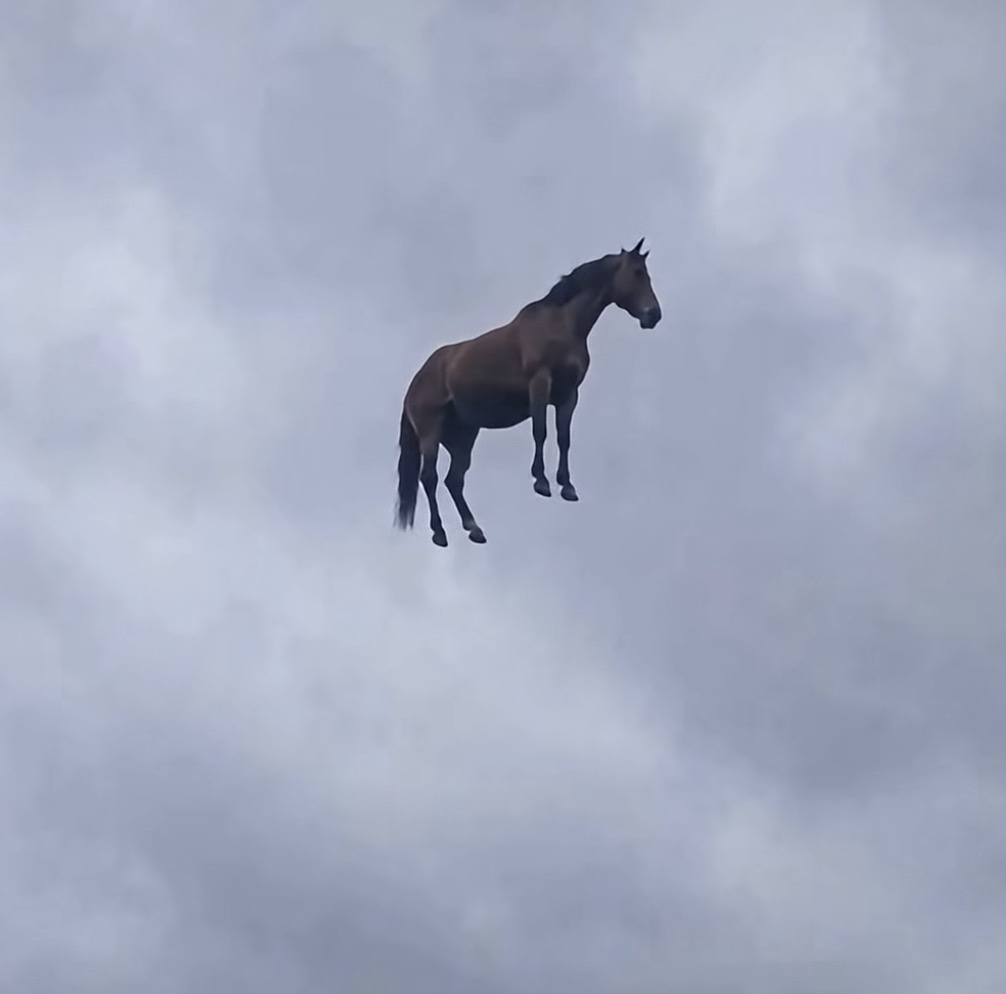 AIR HORSE 1