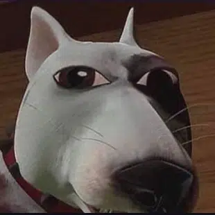 Slop Inu