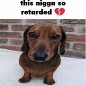 nigga dog