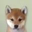 what's his name?