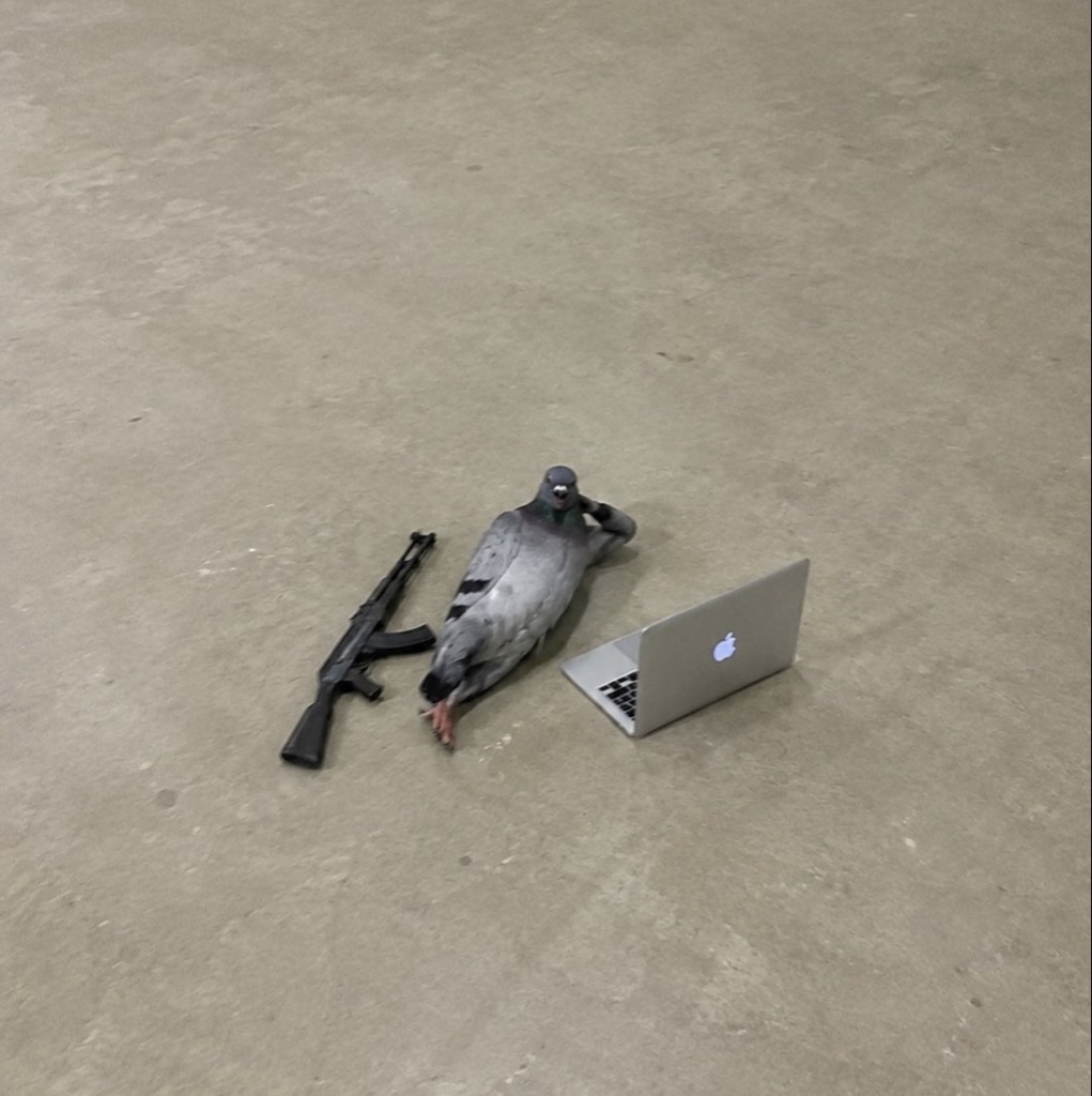 Pidgin Wif AR