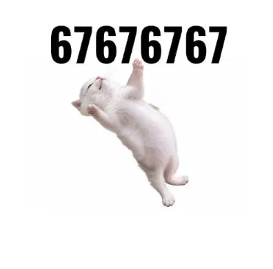 67 CAT
