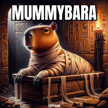$MUMMYBARA