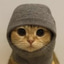 Sock & Pussy 500