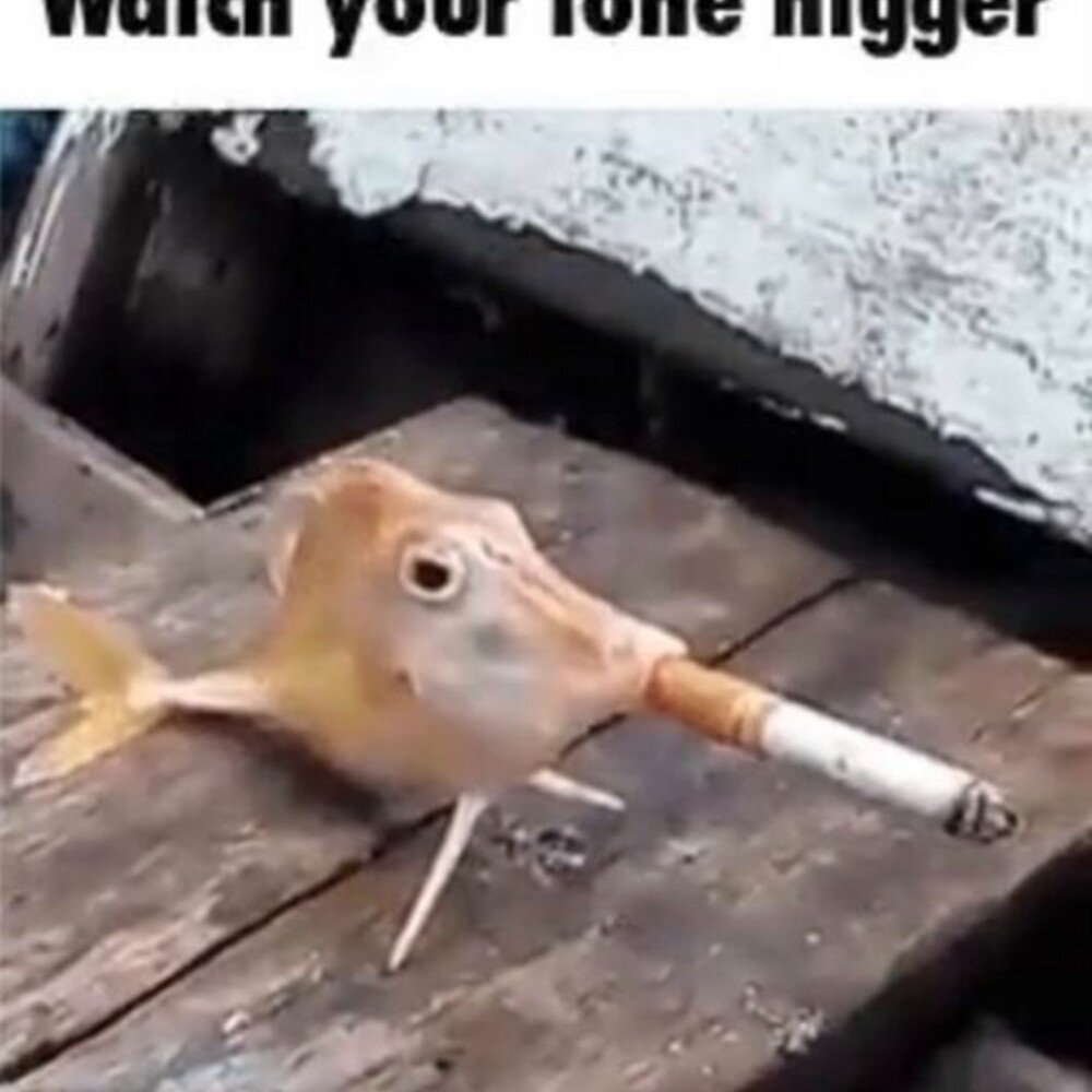 Flying Smoking Fish