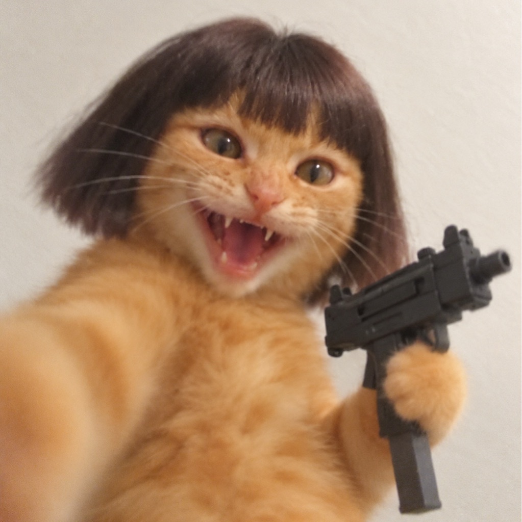 lil uzi cat