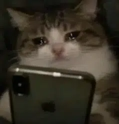 SOBCAT