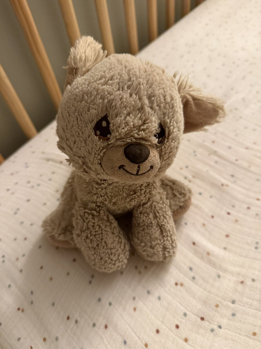 puppy