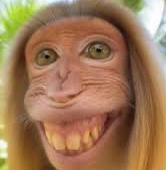 The Amazon Monkey