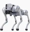 Unitree Dog